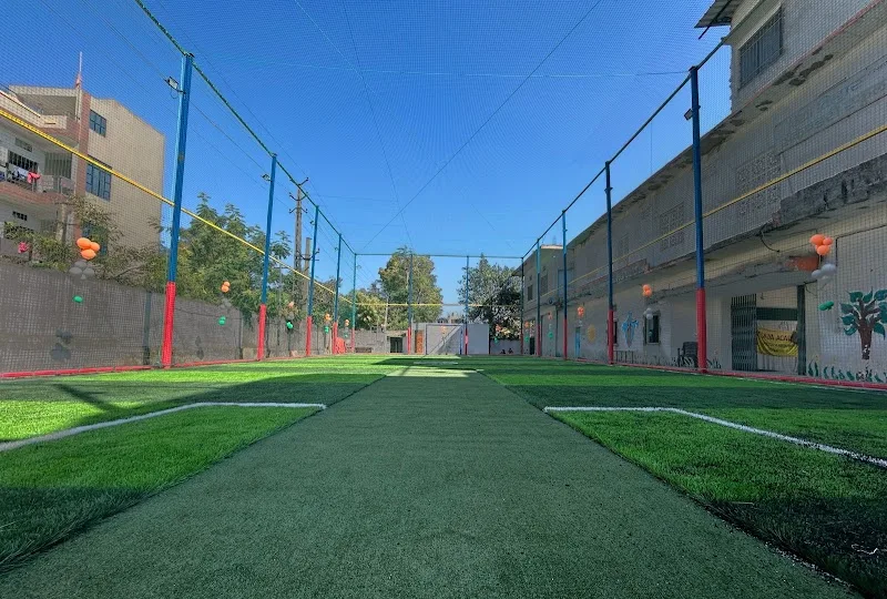 The Velocity Turf photo 1