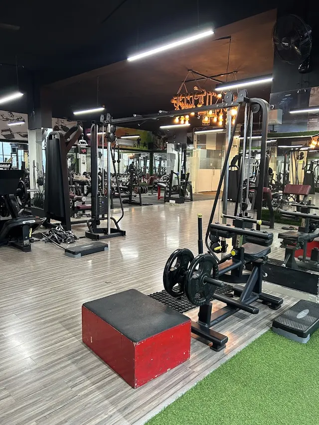 ALPHA ZONE GYM