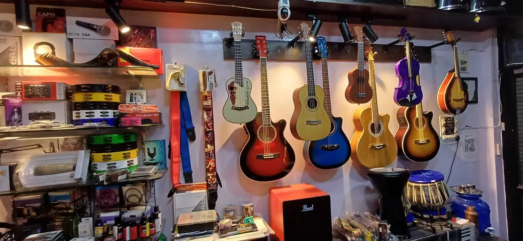 SHINE MUSICALS — Music in Vaishali Nagar