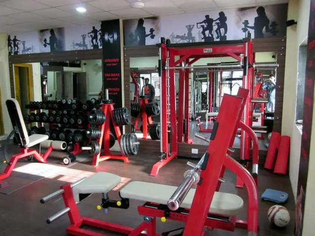 Viva Fitness Zone Complete Workout For All