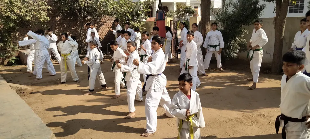 B. Bruce Lee Martial Art Academy — Martial Arts in Bhakrota