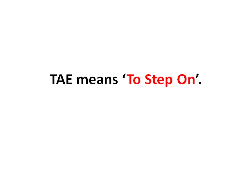 Taureaux Taekwondo Academy JP Nagar — Martial Arts in Arekere, Bengaluru
