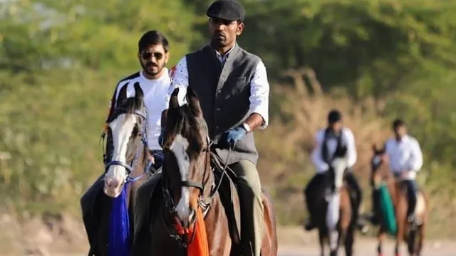 Mehai stud horse riding school — Horse Riding in Surpura