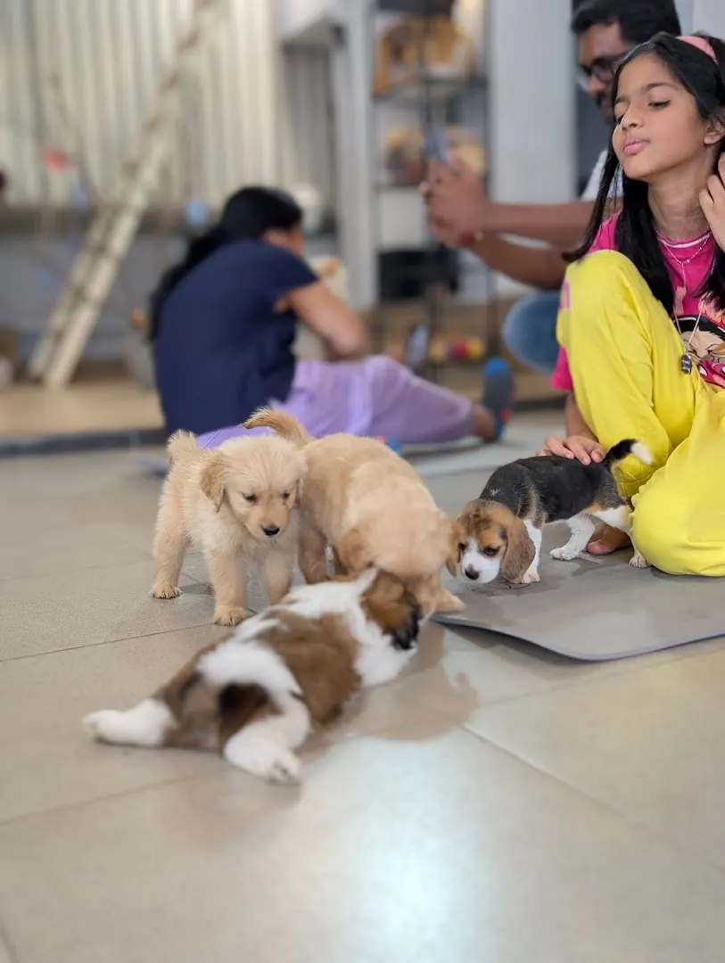 Pawsitive | Puppy Yoga — Art & Craft in Film Nagar