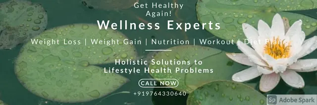Weight Loss, Wellness, Nutrition & Diet Centre