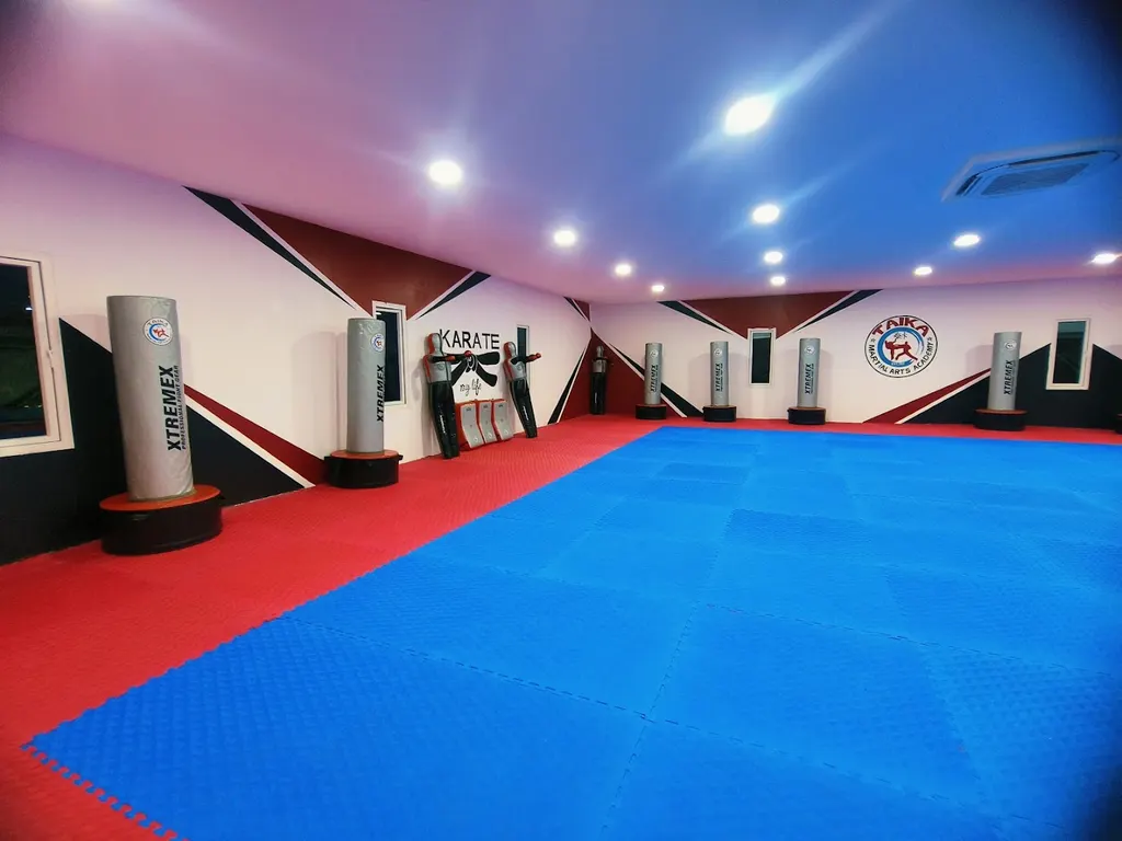 International Taika Martial Arts Academy — Martial Arts in Hafeezpet