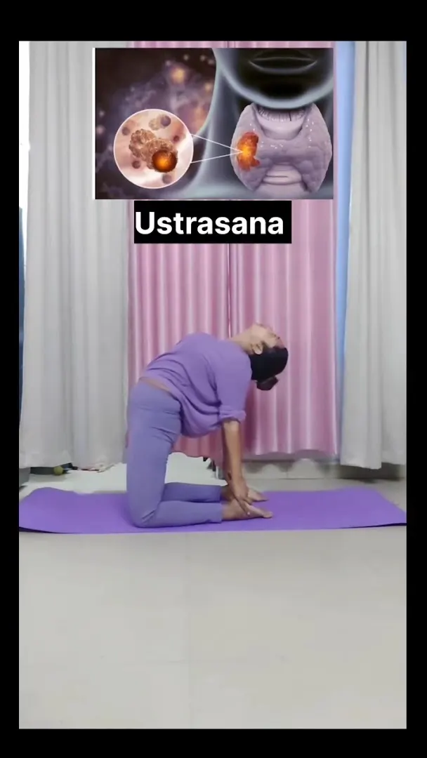 Adithya Yoga Classes Adambakkam — Yoga in Adambakkam