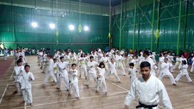 International Academy Of Martial Arts — Martial Arts in Raipur