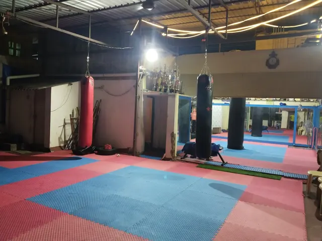 Budokai Karate Do Training School International — Martial Arts in Anna Nagar