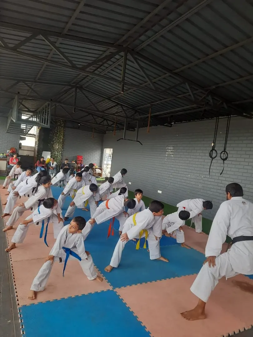Okinawa Goju-ryu Karate Do INDIA — Martial Arts in Katraj
