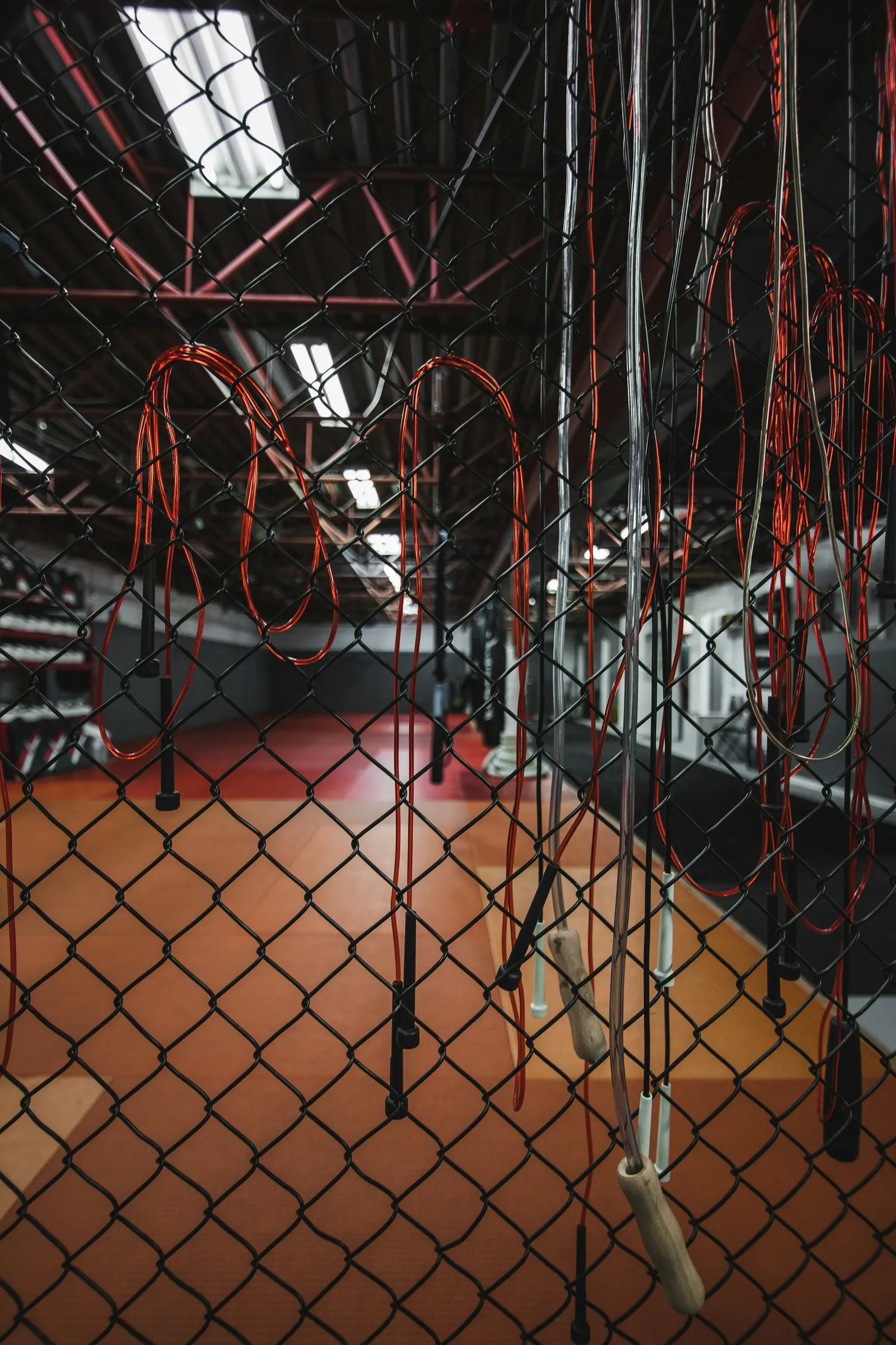 Kickboxing Training & Fitness — Martial Arts in Borivali, Mumbai
