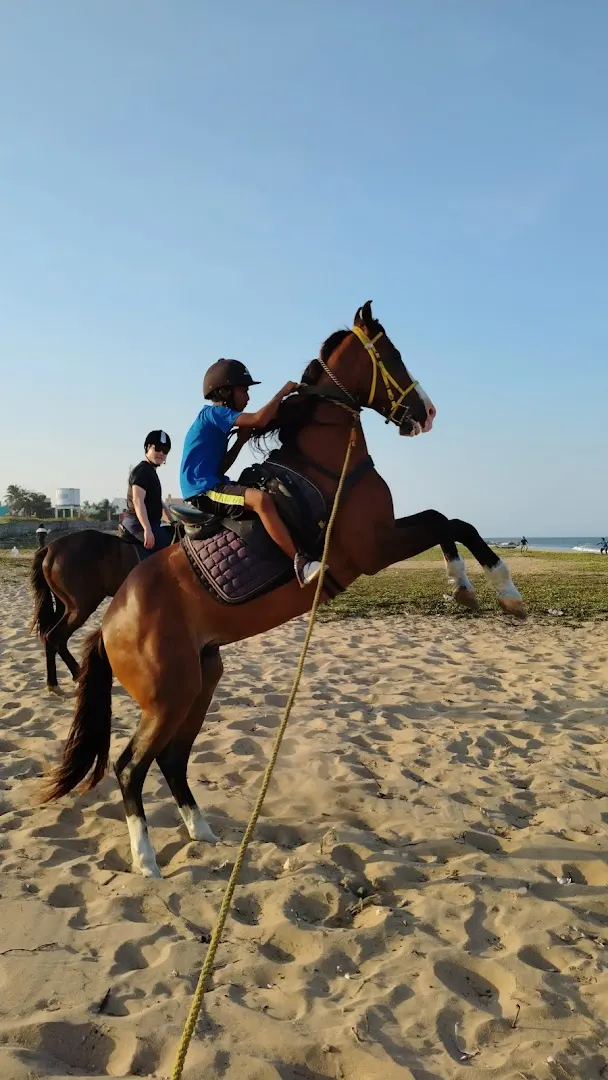 Walk and Trot — Horse Riding in Injambakkam