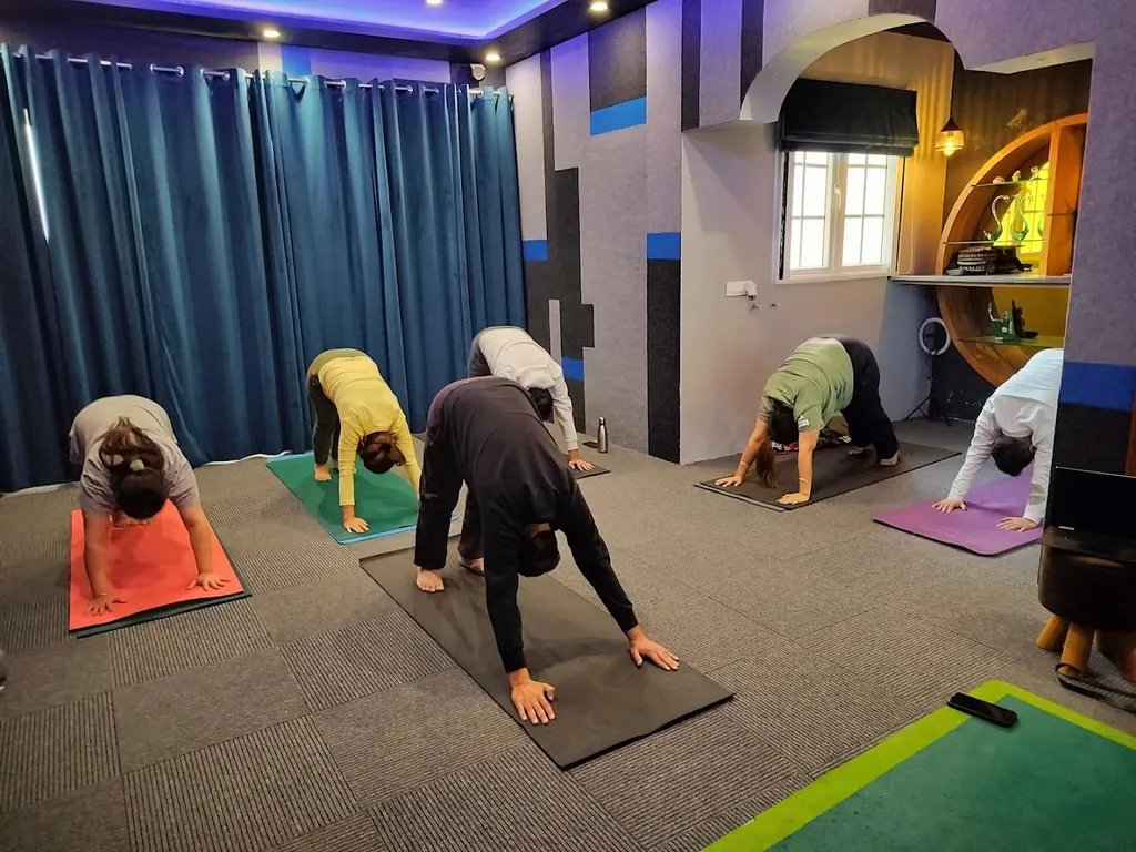 Vinyasa Yoga Studio — Yoga in Sector 91