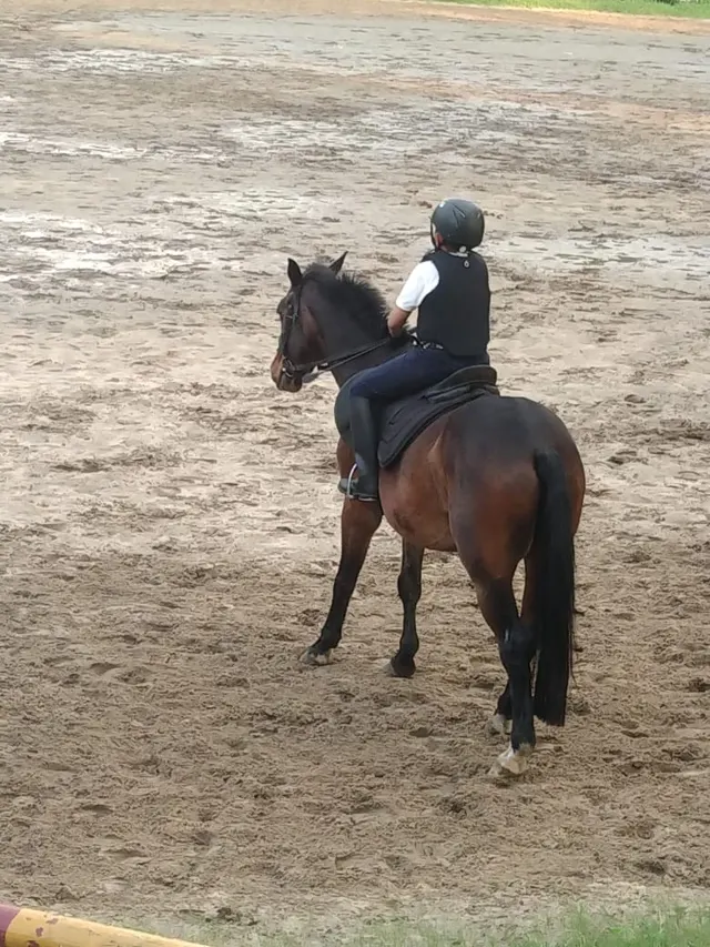 Fort William princep ghat — Horse Riding in Hastings