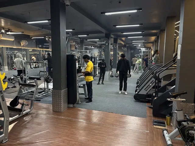 The wellness club gym xpress Hatia