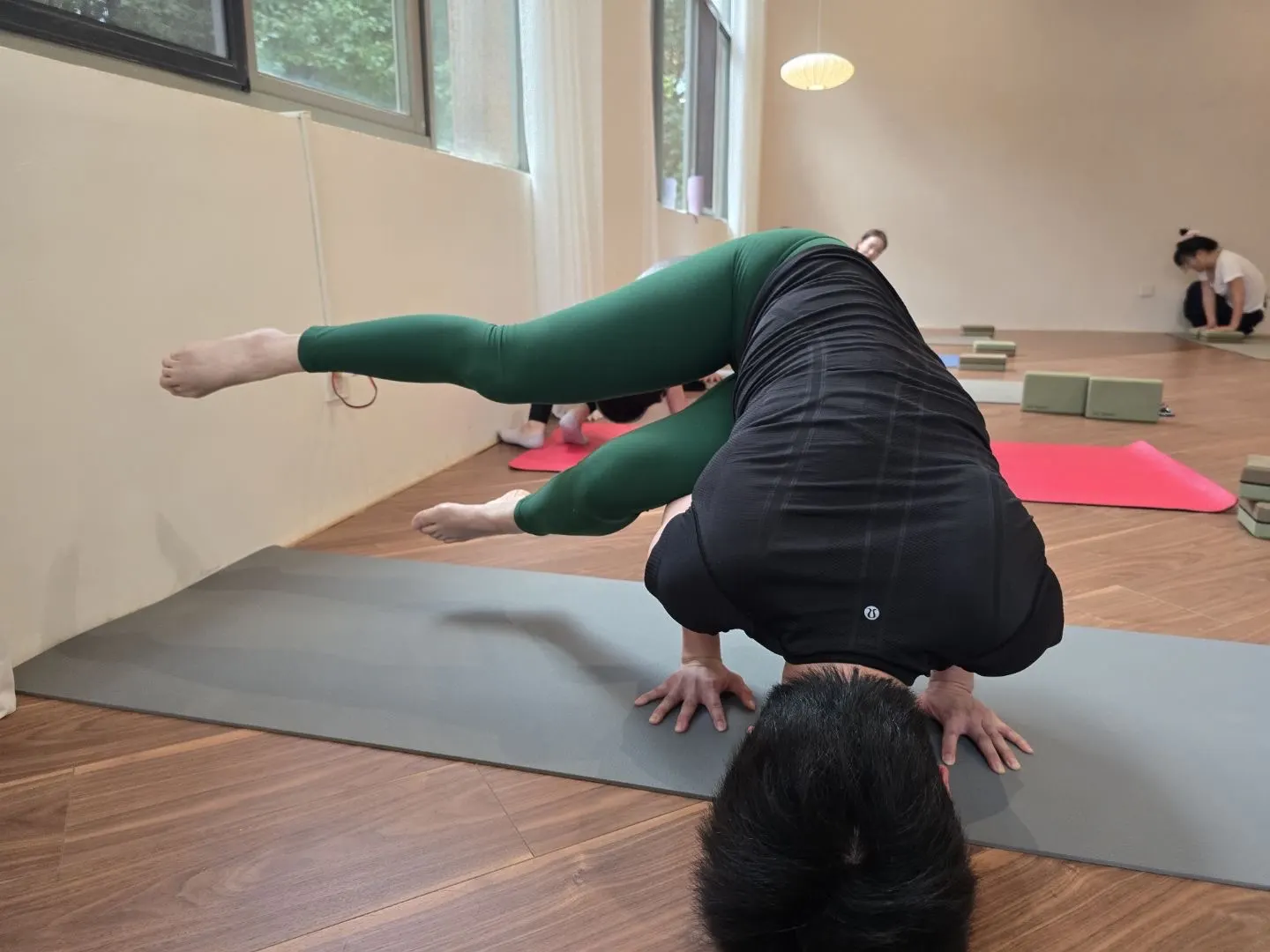 Fit N' Firm Yoga & Dance Studio — Yoga in Sector 19, Panchkula