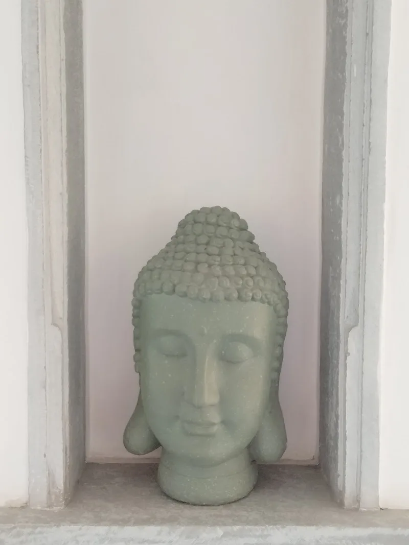 The Neem Tree Udaipur Yoga Studio — Yoga in Rao Ji Ka Hata