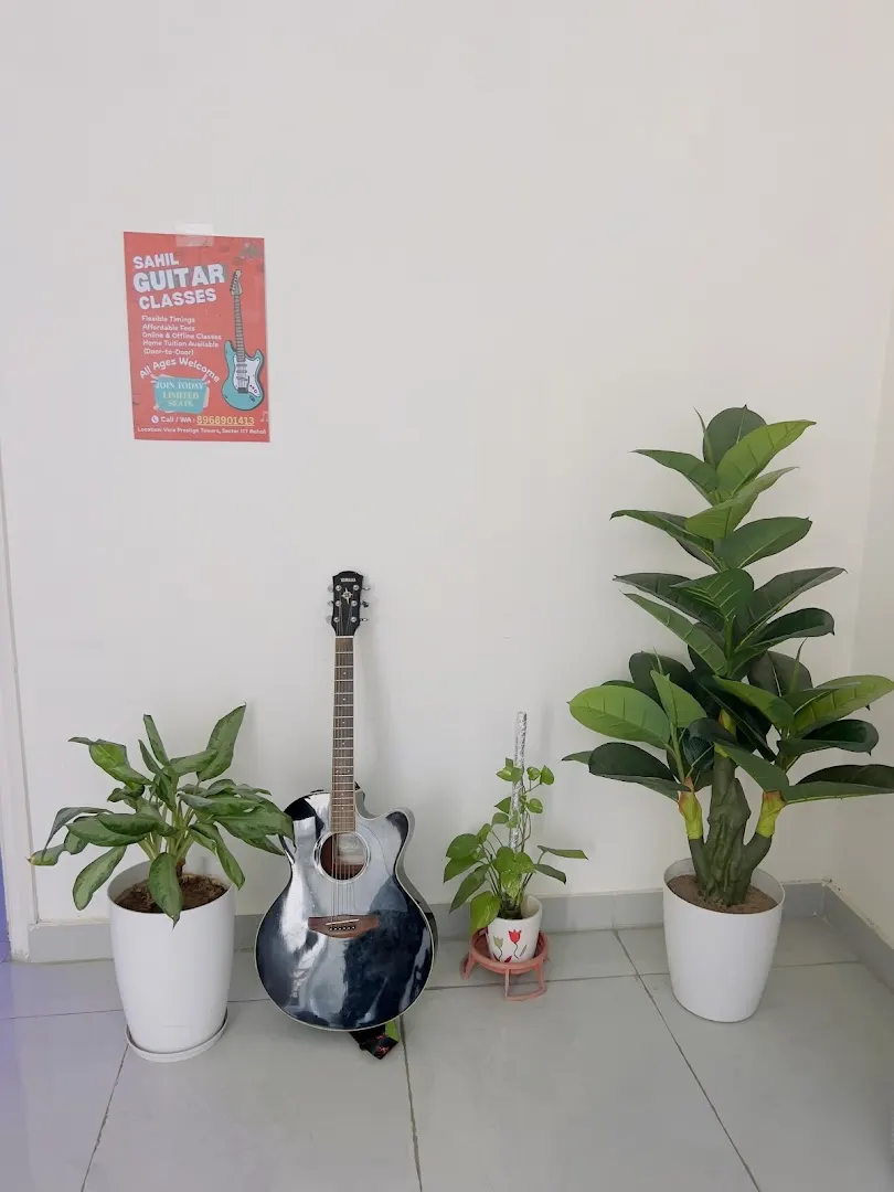 Sahil Guitar Classes-Best Guitar/Piano classes in Kharar — Music in Sector 117