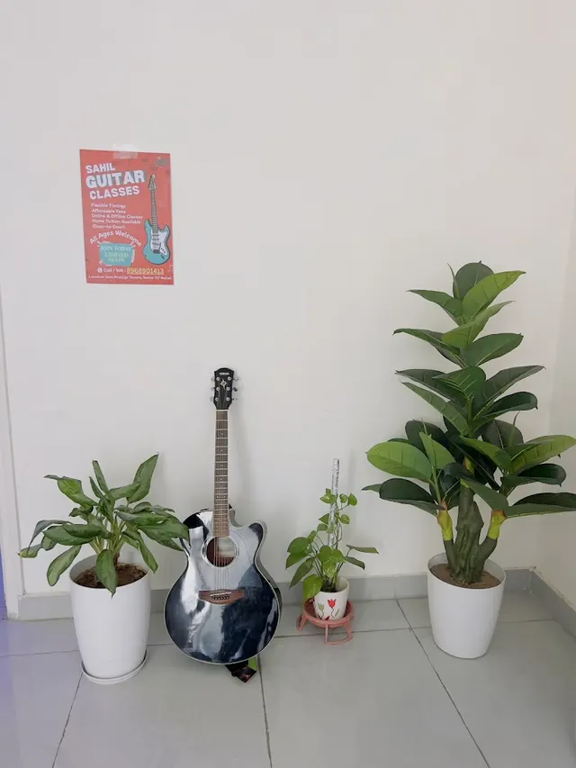 Sahil Guitar Classes-Best Guitar/Piano classes in Kharar — Music in Sector 117