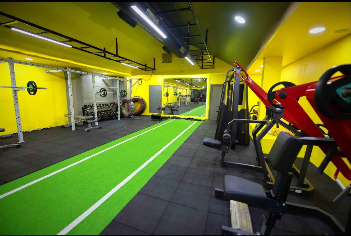Iron Tribe Fitness — Fitness Center in Alwarpet, Chennai