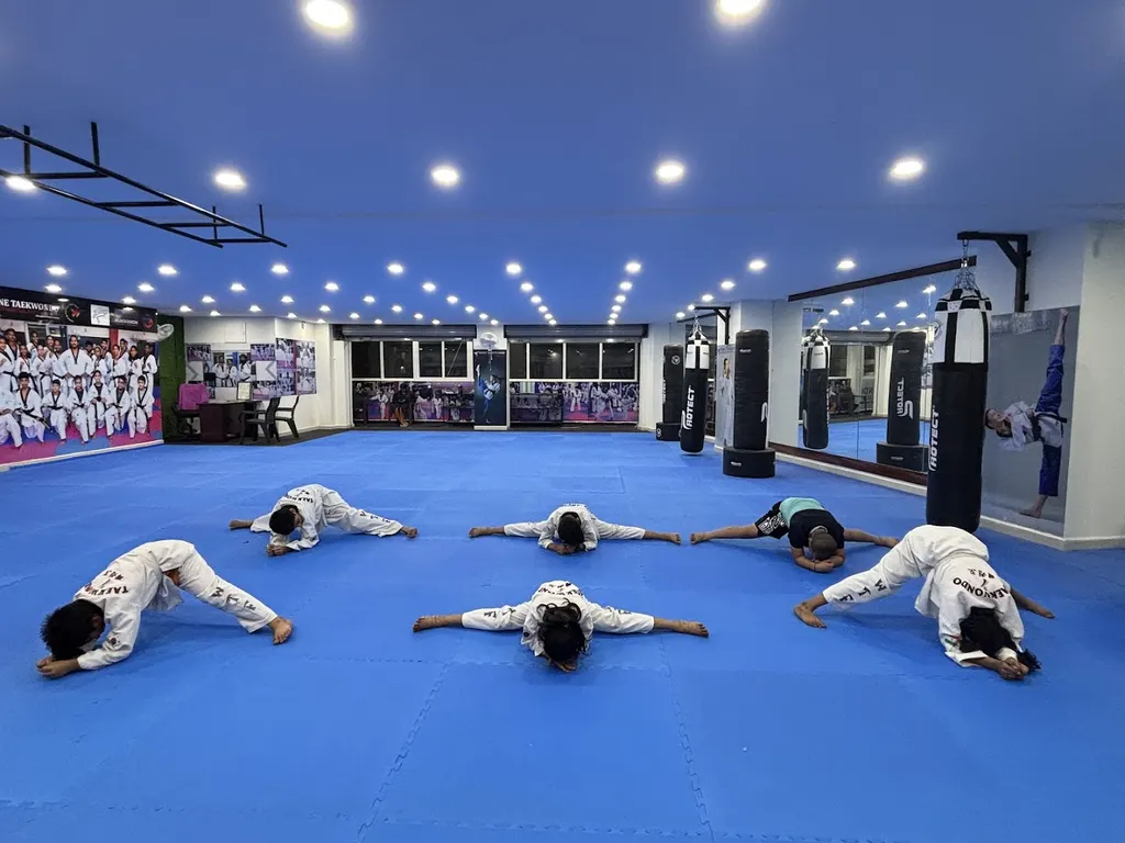 Shine Taekwondo & mixed martial arts academy (branch-4) — Martial Arts in Dynamics Colony