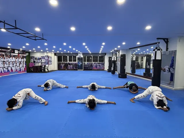 Shine Taekwondo & mixed martial arts academy (branch-4) — Martial Arts in Dynamics Colony