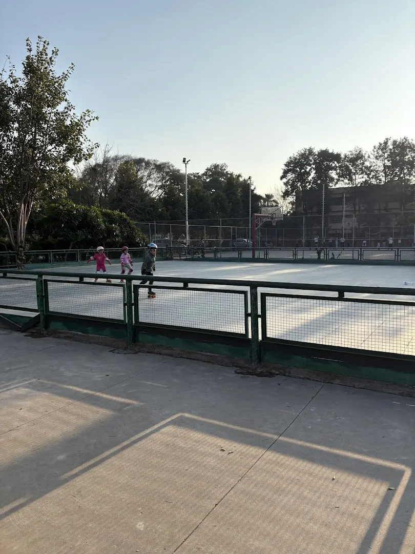 Sports Complex Sector 61 — Football in Sector 61
