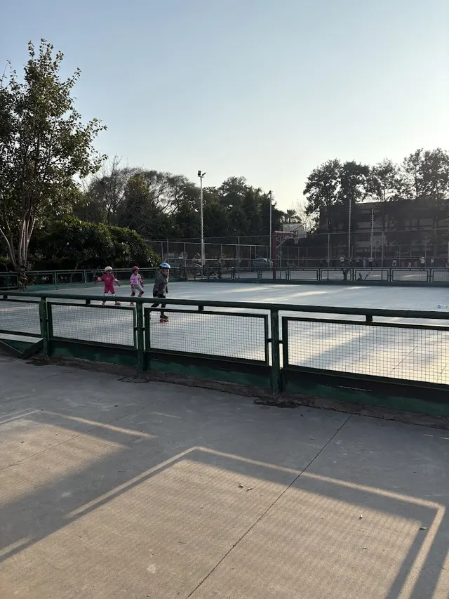 Sports Complex Sector 61 — Football in Sector 61
