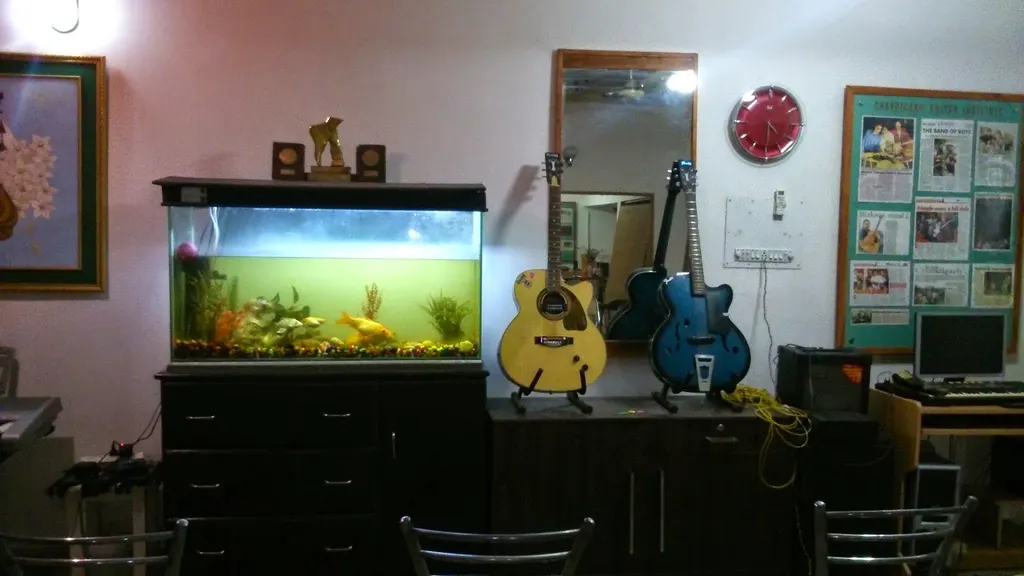 Lalit Coomar's Guitar Classes — Music in Sector 37