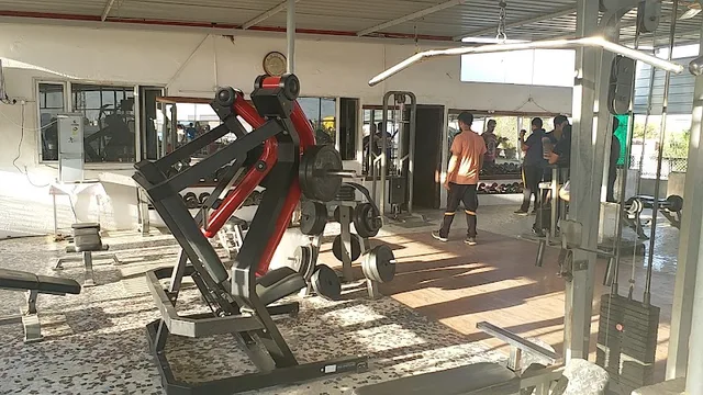 Physique Gym