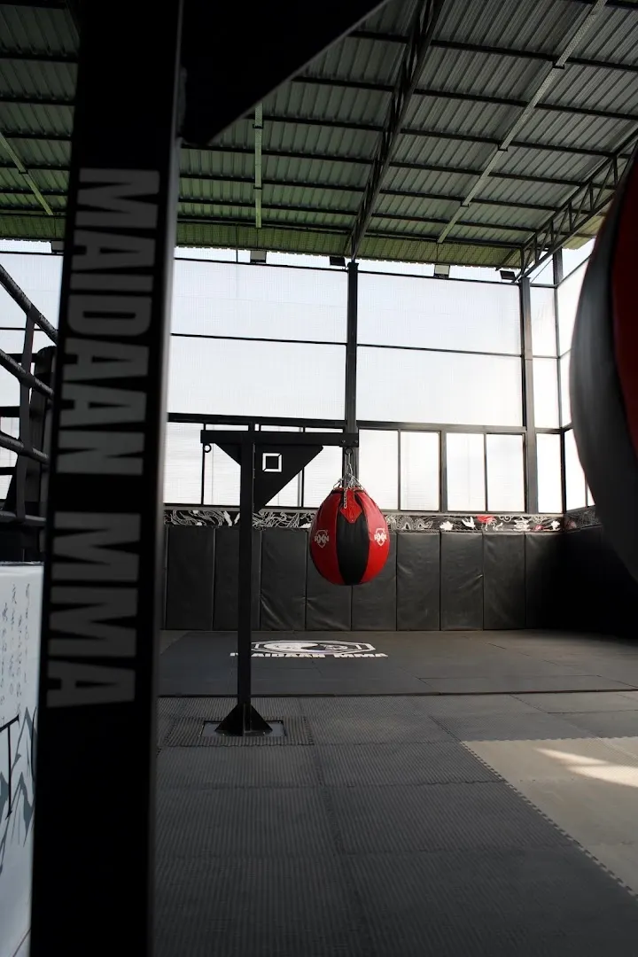 MAIDAAN MMA — Martial Arts in Undri