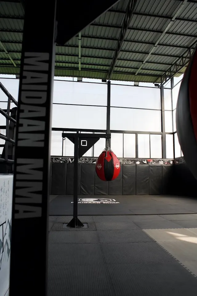 MAIDAAN MMA — Martial Arts in Undri