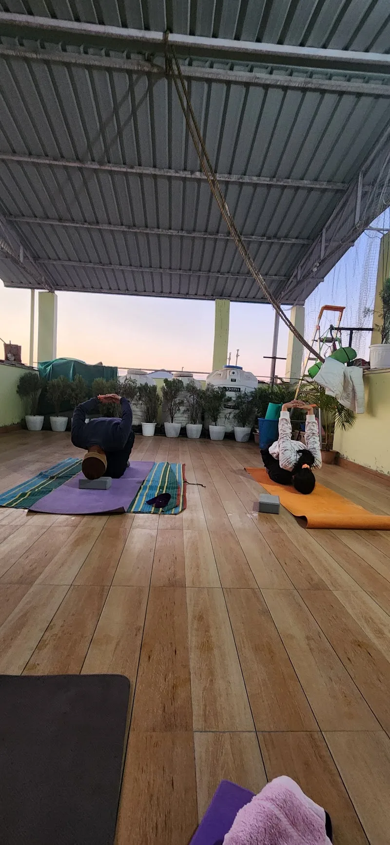 Adiyogi Yogshala photo 1