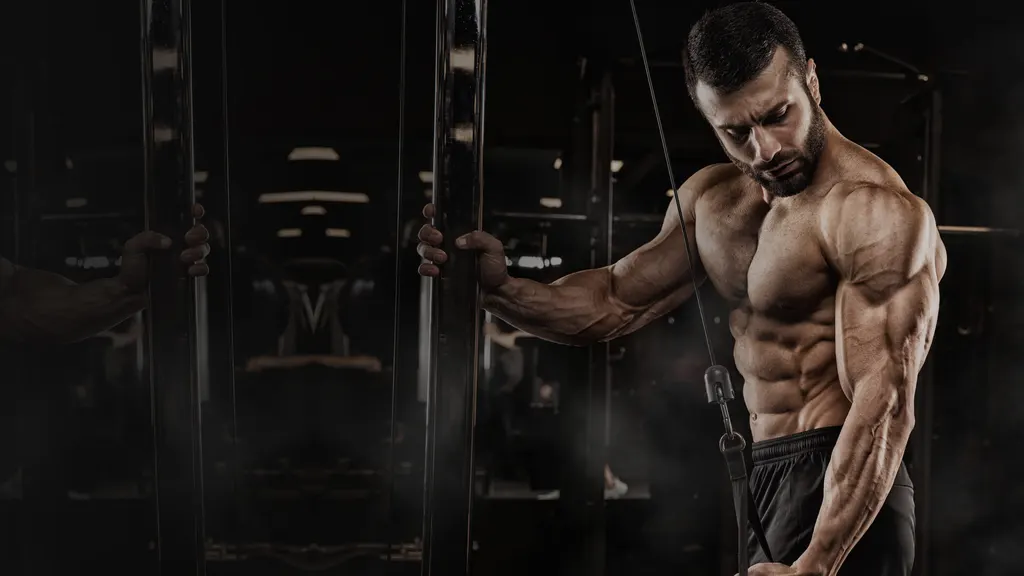Quadz Fitness Sadashivanagar — Armane Nagar