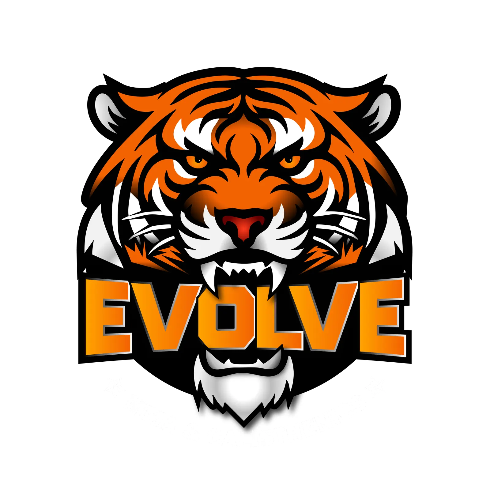 Evolve MMA & Calisthenics — Boxing & Combat Fitness in Malad West, Mumbai