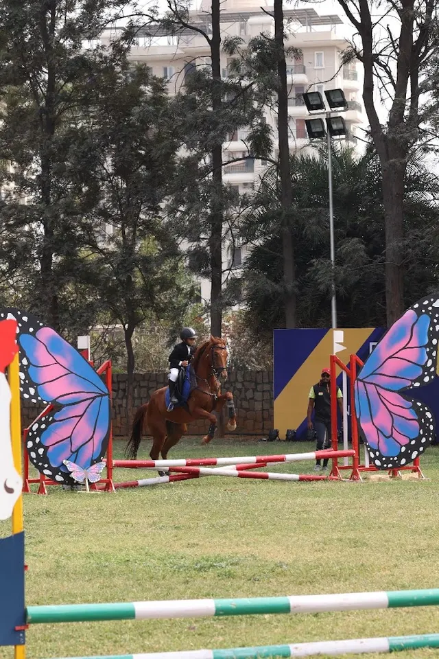 Stallion Horse Riding Academy — Horse Riding in Gudimalkapur