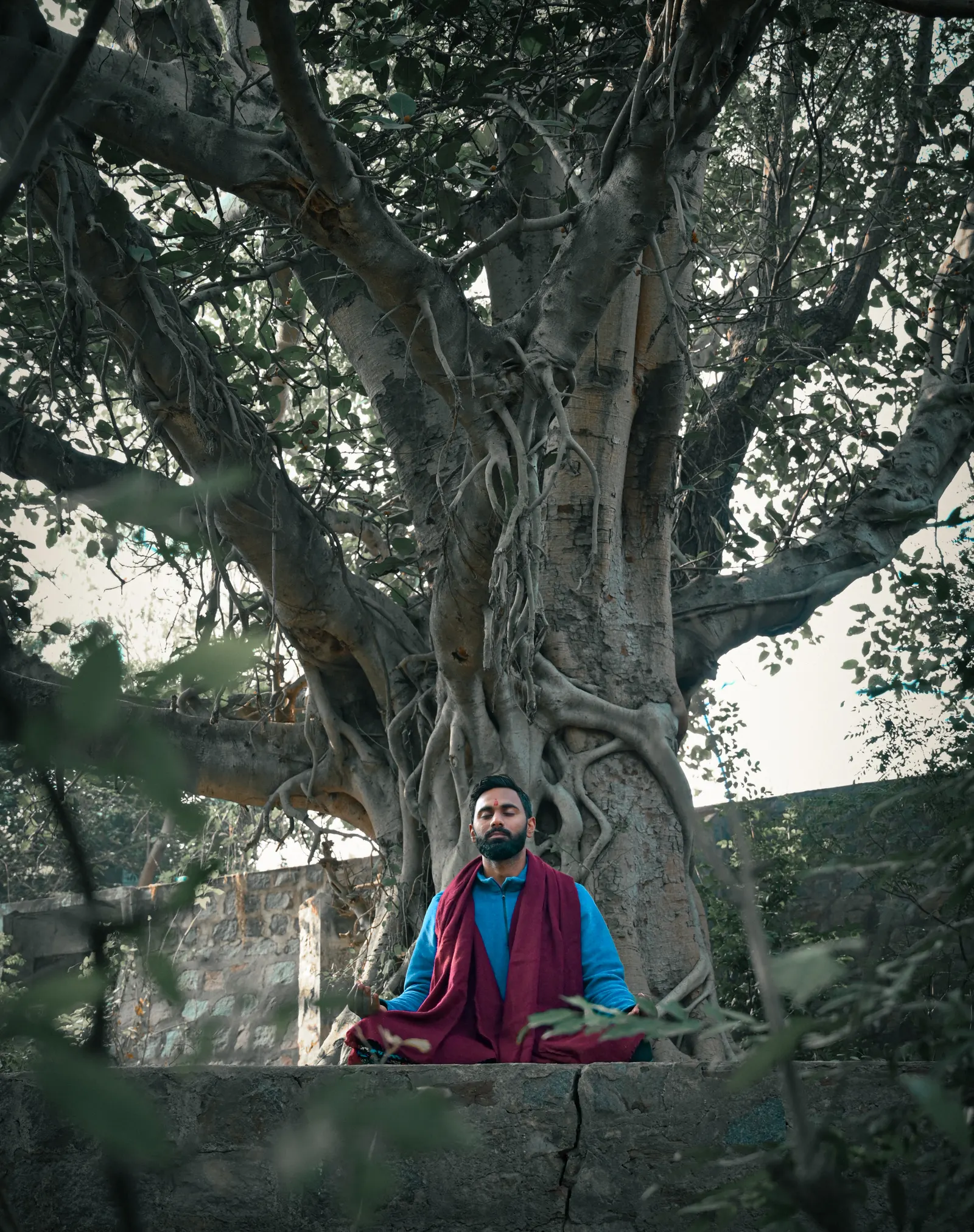 GM Akshay Anand ( Yoga Teacher & Life Coach ) — Yoga in Sector 38, Gurugram