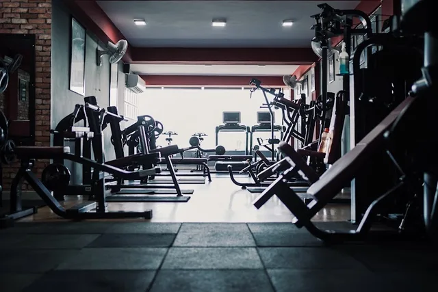 Synergic Fitness