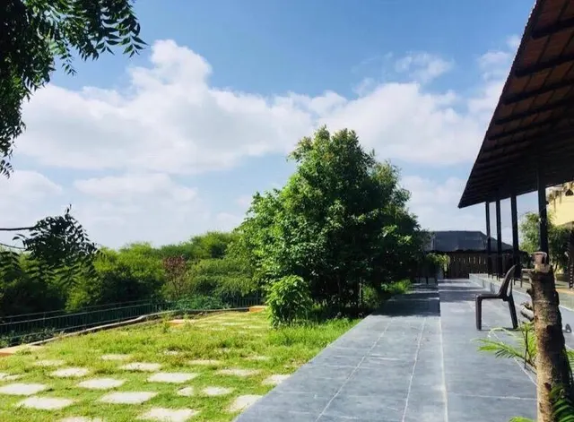 Art Of Living Padamavti — Yoga in Padamavti