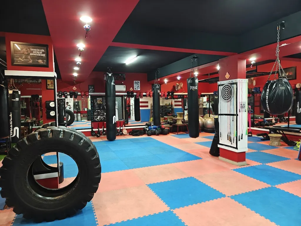 Elevate Fusion Kickboxing Academy — Martial Arts in Government Press Colony
