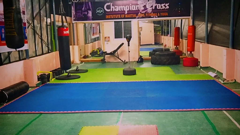 Champions Cross Institute of Martial Arts — Martial Arts in Kottivakkam