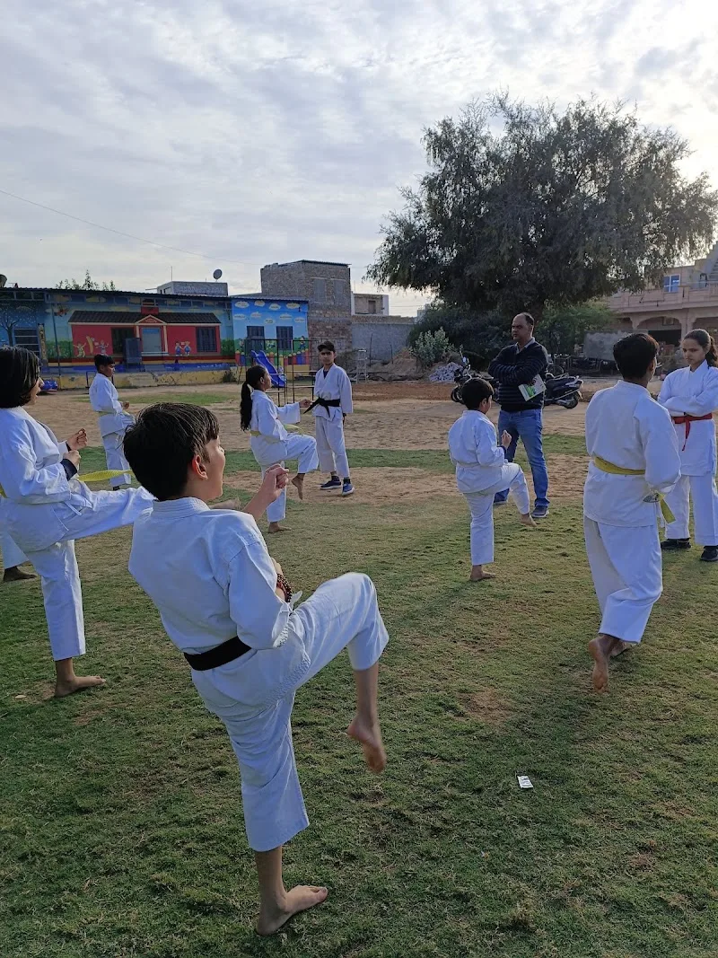 Karate Academy Talent Galaxy Academy (Martial arts,dance,yoga, gymnastics, weight loss & strength training) — Yoga in Basni