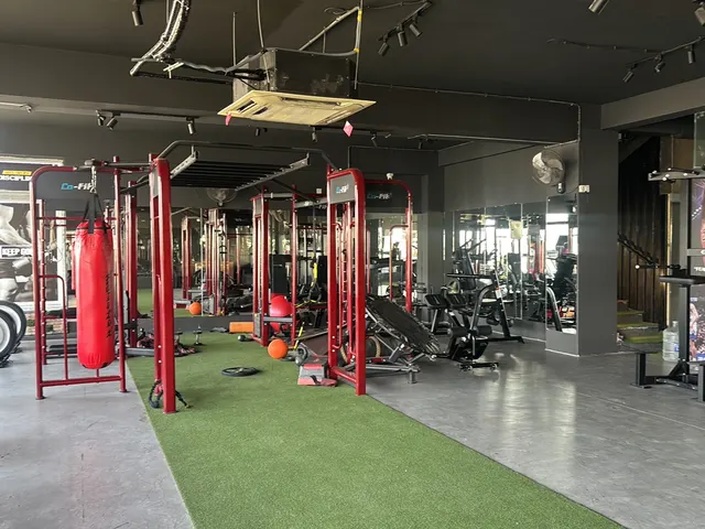VS Alpha Fitness