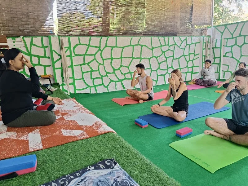 Divyam Yoga Fitness & Therapy Studio — Yoga in Zinc Park
