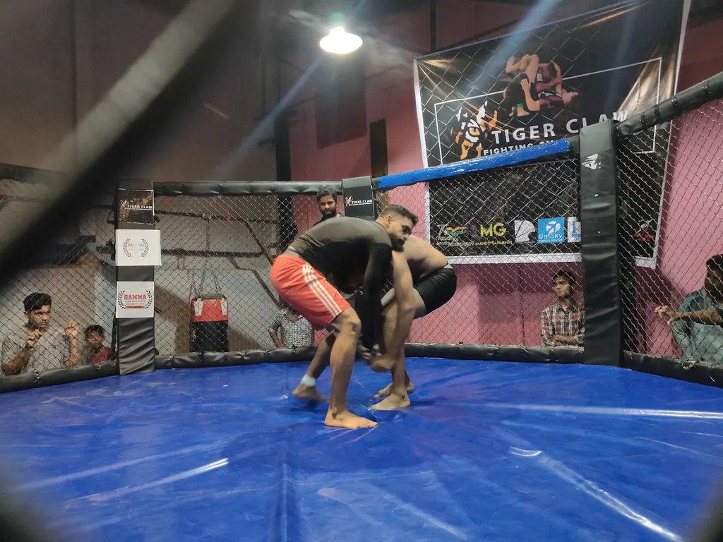 Thunder Mix Martial Arts Academy — Martial Arts in Amberpet