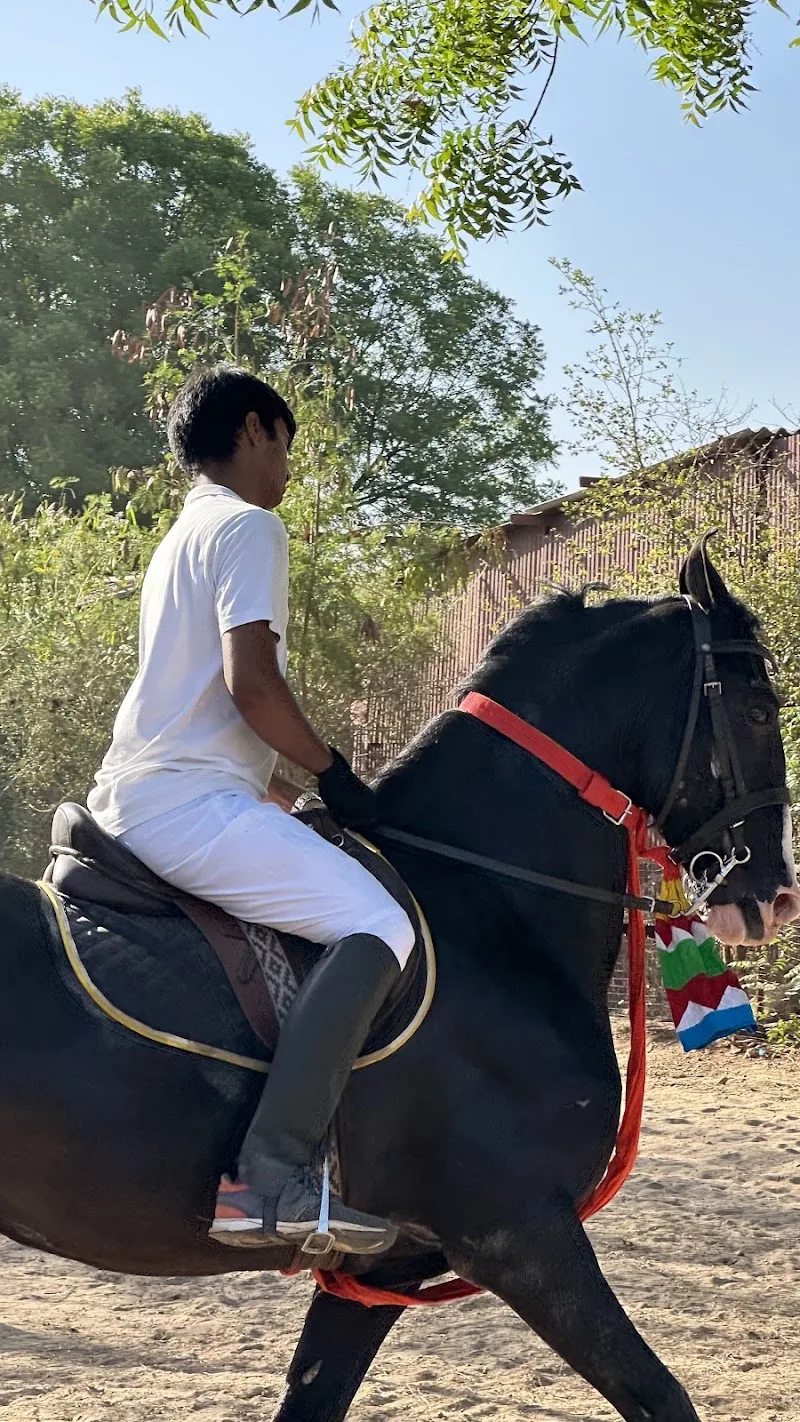 Marwar Stables photo 1