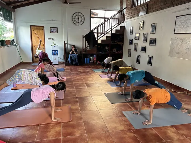 Ashtanga Vinyasa Yoga (The Shala) — Yoga in Raja Annamalaipuram