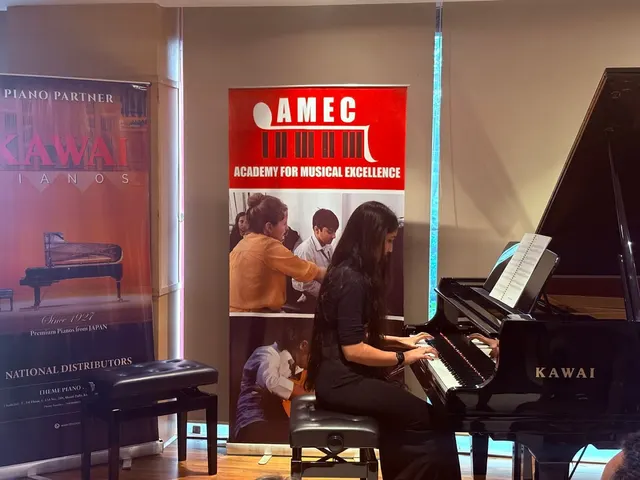 Academy for Musical Excellence Haltu — Music in Haltu