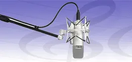 VoiceArtistes.Com | Voice Over | Voice Over Training | All Languages | Comedians in Gurgaon | — Theatre & Drama in Sector 22, Gurugram