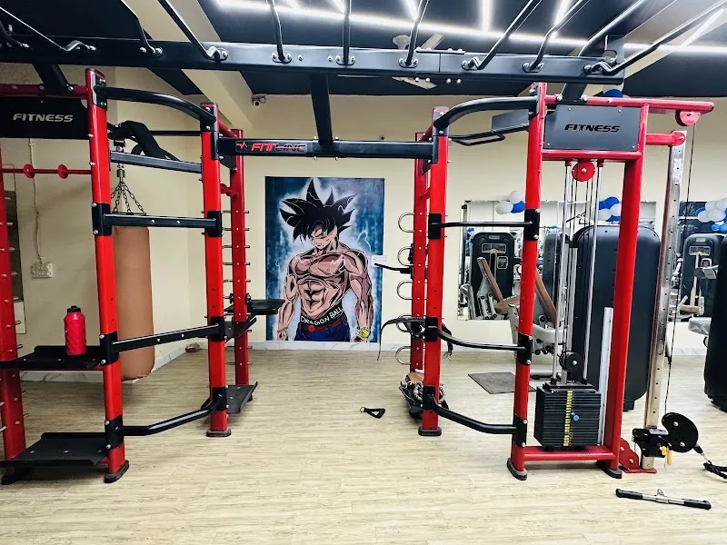 Lfc gym (Limitless fitness club) — Fitness Center in Shinde Ki Chhawani